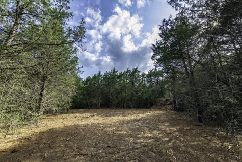 405 Vineyard View Trail - Lot 5 Carmine TX 78932