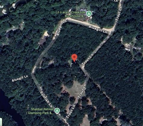 8 Trout Lane Huntsville TX 77320