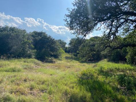 000 Pintail Lane Columbus TX 78934