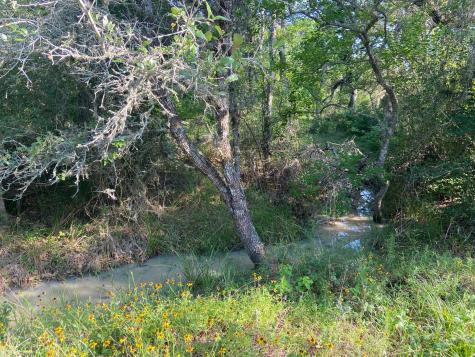 000 Pintail Lane Columbus TX 78934