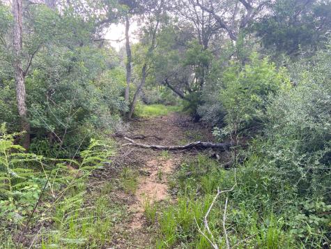 000 Pintail Lane Columbus TX 78934