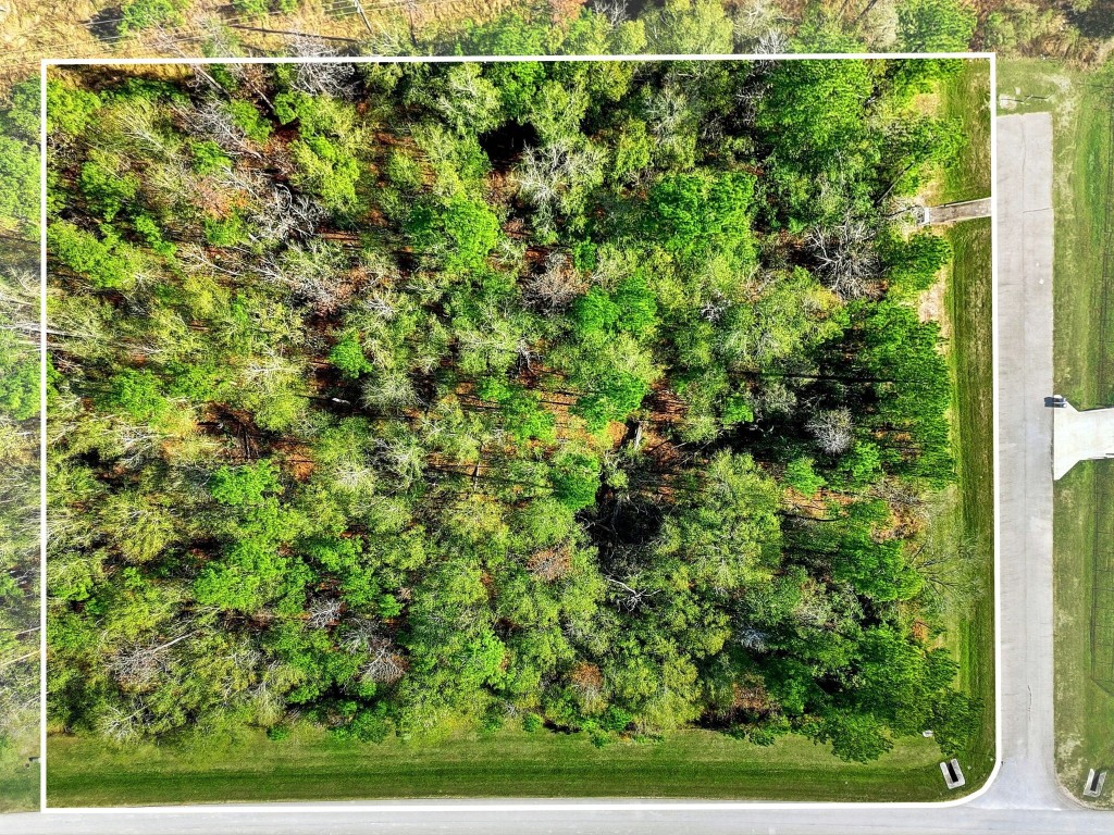 27560 S Lazy Meadow Way Spring TX 77386