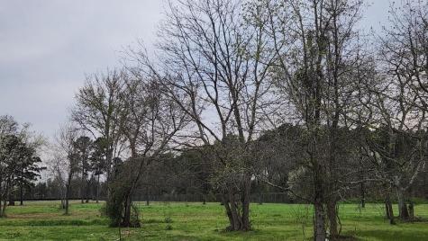 0 Indian Shores Road Crosby TX 77532