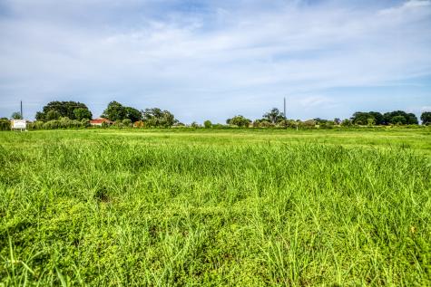 Lot 2 Hargrove Lane Washington TX 77880