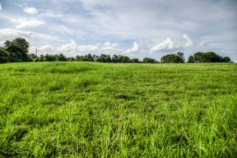 Lot 2 Hargrove Lane Washington TX 77880