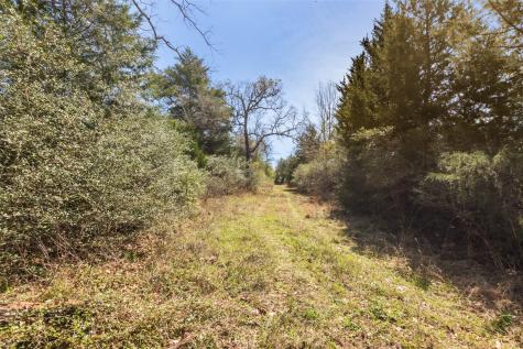 000 Pr 3891 Jewett TX 75846