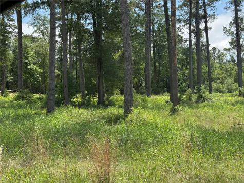 010 Private Road 6028 Tract 1-10 Brookeland TX 75931