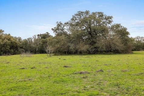 Tract 3 Tbd Kleihege Road New Ulm TX 78950
