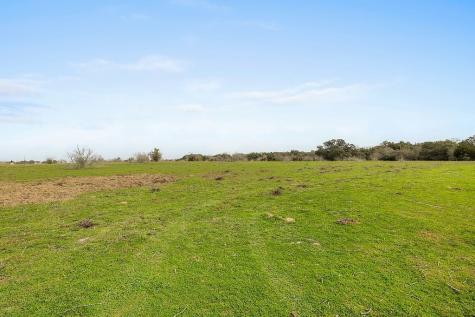 Tract 3 Tbd Kleihege Road New Ulm TX 78950