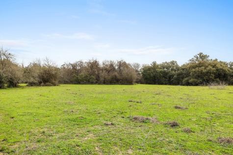 Tract 3 Tbd Kleihege Road New Ulm TX 78950