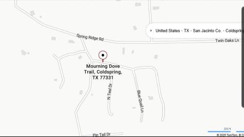 0 Mourning Dove Trail Coldspring TX 77331