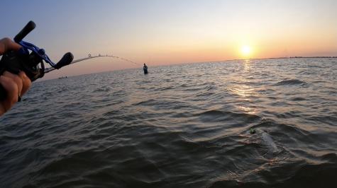 00000 Zingelmann Road Galveston TX 77554