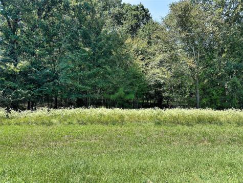 11 Creek Point Huntsville TX 77320