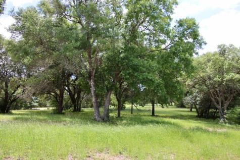 31 Mallard Lane Columbus TX 78934