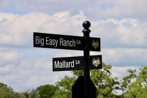 31 Mallard Lane Columbus TX 78934