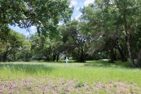 31 Mallard Lane Columbus TX 78934