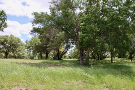 31 Mallard Lane Columbus TX 78934
