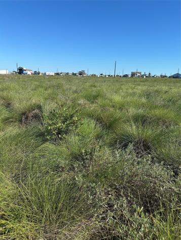 15203 Terrapan Sargent TX 77414