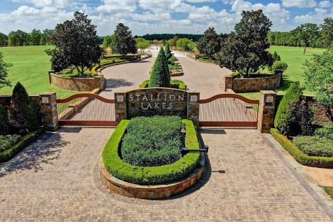 2212 Stallion Lakes Avenue Hockley TX 77447