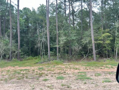 0000 Evergreen Lot 7 Fm 362 Road Waller TX 77484
