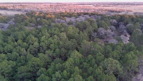 0000 Evergreen Lot 7 Fm 362 Road Waller TX 77484