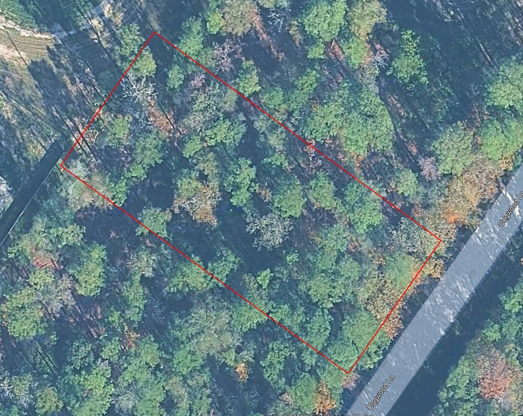 0000 Dogwood Lane Houston TX 77339