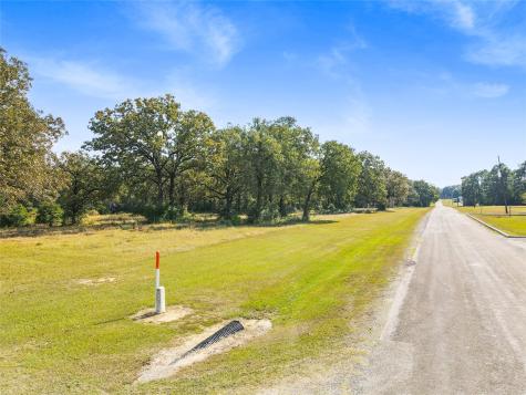 Lot 4 Lake Livingston Lane Trinity TX 75862