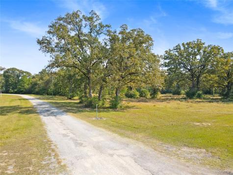 Lot 4 Lake Livingston Lane Trinity TX 75862