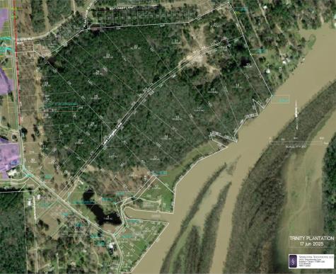 Lot 4 Lake Livingston Lane Trinity TX 75862
