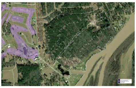 Lot 4 Lake Livingston Lane Trinity TX 75862