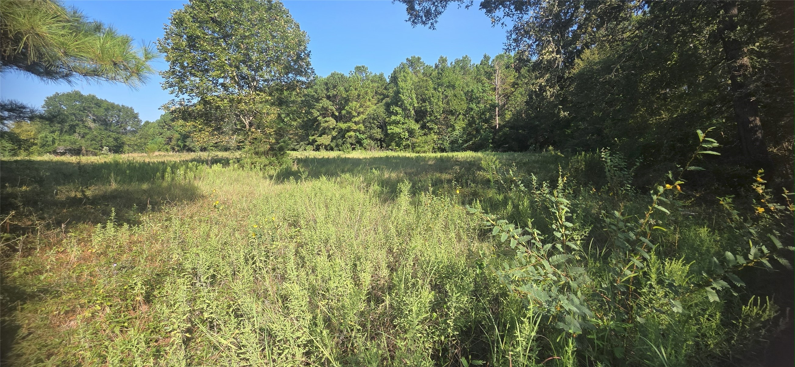 19 Whispering Pines Road New Waverly TX 77358