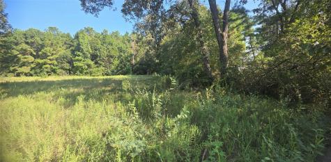 19 Whispering Pines Road New Waverly TX 77358