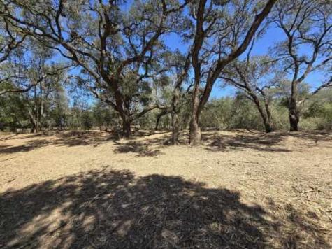 000 Tinkler Rock Island TX 77470