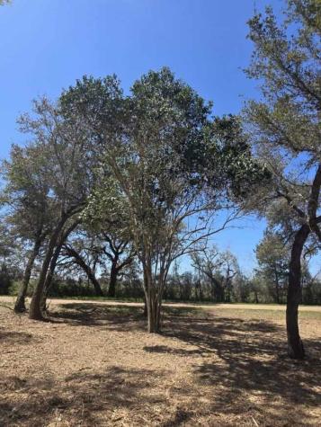 000 Tinkler Rock Island TX 77470