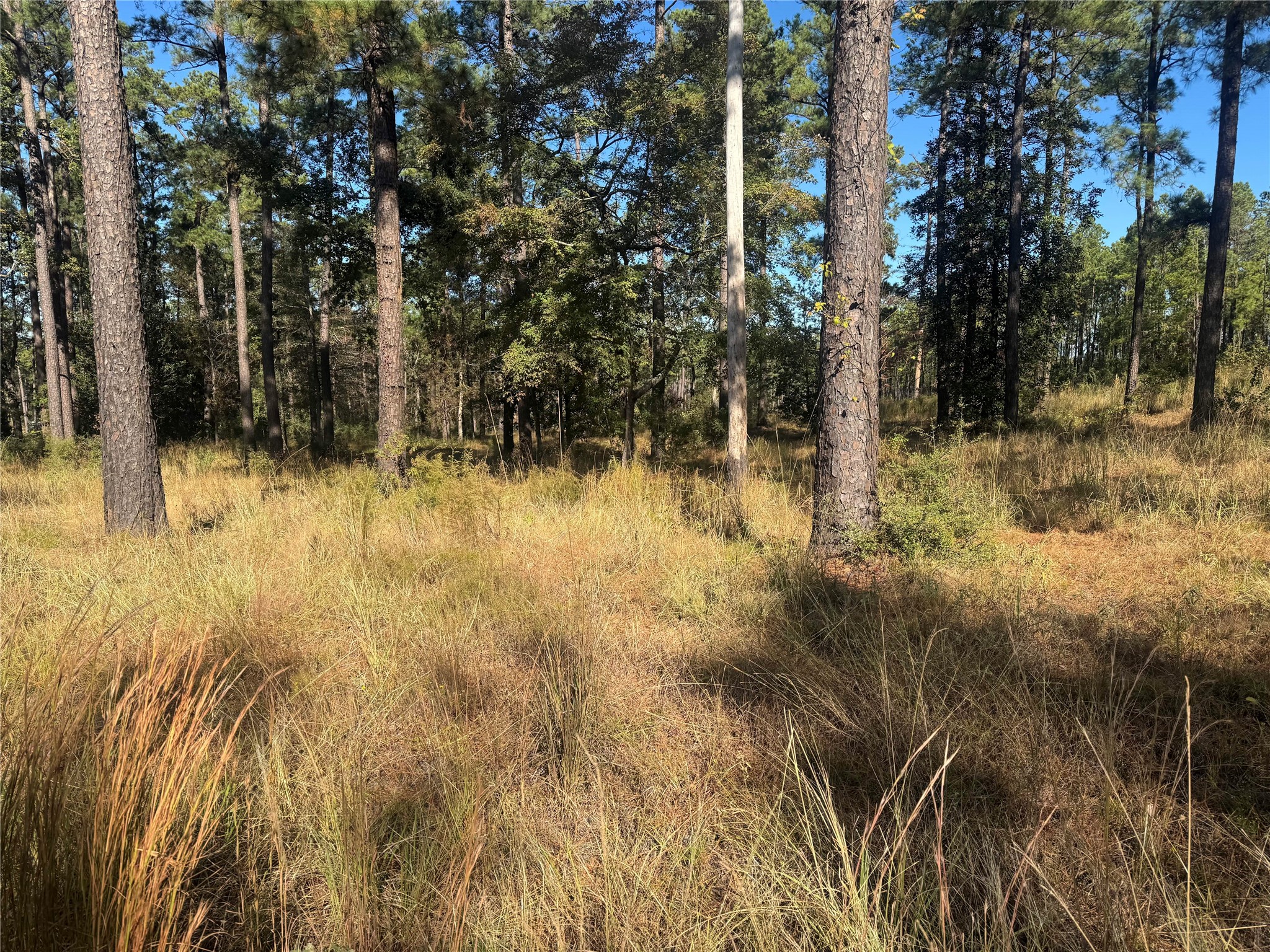 061 Private Road 6026 Brookeland TX 75931