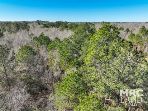 00 Recreational Road 255 Colmesneil TX 75938
