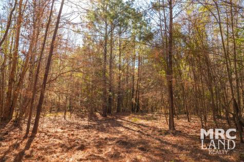00 Recreational Road 255 Colmesneil TX 75938