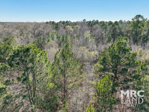 00 Recreational Road 255 Colmesneil TX 75938