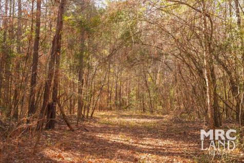 00 Recreational Road 255 Colmesneil TX 75938