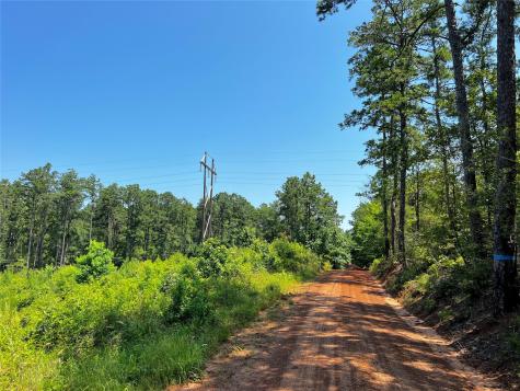 4 Carters Ferry Road Milam TX 75959