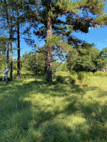 6225 County Road 2252 Cleveland TX 77327