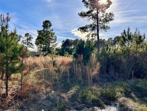 Tbd County Road 3479a Cleveland TX 77327