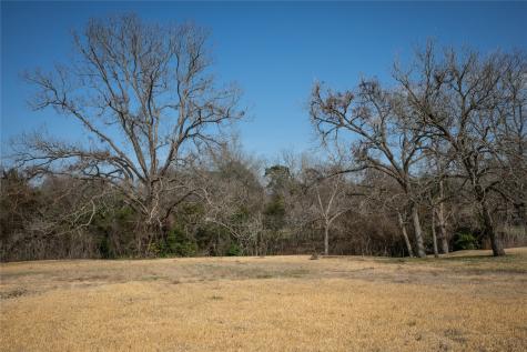 Tbd Sycamore Street Brenham TX 77833