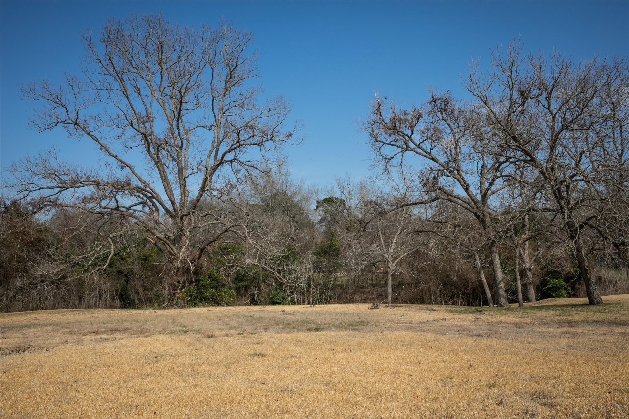 Tbd Sycamore Street Brenham TX 77833