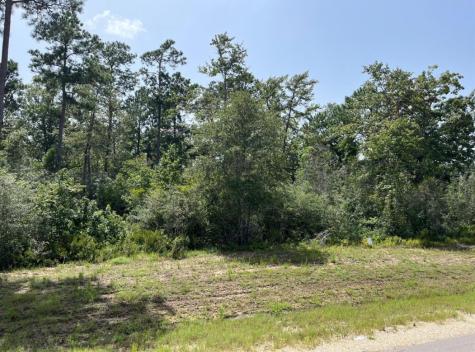 231 Iron Horse Road New Waverly TX 77358