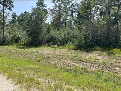231 Iron Horse Road New Waverly TX 77358