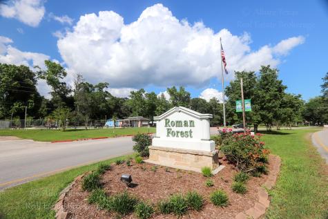 Lots 23-25 Putters Green Street New Caney TX 77357