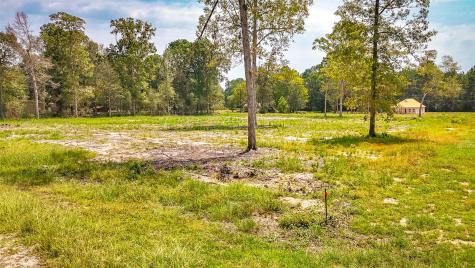 Tbd Lot 66 Thousand Oaks Livingston TX 77351