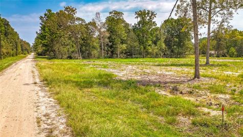 Tbd Lot 66 Thousand Oaks Livingston TX 77351