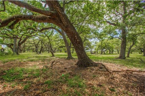 14991 Ac Cr 400 Road Freeport TX 77541